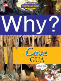 Why?: Cave (Gua)